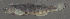  ( - 47582.04)  @12 [ ] Unspecified (default): All Rights Reserved  Unspecified Unspecified