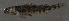  ( - 47627.03)  @12 [ ] Unspecified (default): All Rights Reserved  Unspecified Unspecified