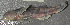  ( - 47679.01)  @12 [ ] Unspecified (default): All Rights Reserved  Unspecified Unspecified