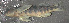  ( - 47679.02)  @12 [ ] Unspecified (default): All Rights Reserved  Unspecified Unspecified