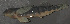  ( - 47750.03)  @12 [ ] Unspecified (default): All Rights Reserved  Unspecified Unspecified