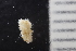  ( - ZMBN_166263)  @11 [ ] Creative Commons BY SA (2024) University of Bergen Natural History Collections