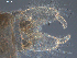  ( - SEG13)  @12 [ ] CreativeCommons - Attribution Non-Commercial Share-Alike (2013) Unspecified NTNU Museum of Natural History and Archaeology