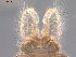 ( - SEG4)  @12 [ ] CreativeCommons - Attribution Non-Commercial Share-Alike (2013) Unspecified NTNU Museum of Natural History and Archaeology