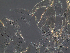  ( - SEG47)  @12 [ ] CreativeCommons - Attribution Non-Commercial Share-Alike (2013) Unspecified NTNU Museum of Natural History and Archaeology