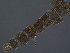  ( - SEG58)  @11 [ ] CreativeCommons - Attribution Non-Commercial Share-Alike (2013) Unspecified NTNU Museum of Natural History and Archaeology