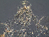  ( - SEG94)  @12 [ ] CreativeCommons - Attribution Non-Commercial Share-Alike (2013) Unspecified NTNU Museum of Natural History and Archaeology