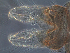  ( - J14)  @12 [ ] CreativeCommons - Attribution Non-Commercial Share-Alike (2013) Unspecified NTNU Museum of Natural History and Archaeology