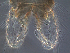  ( - J17)  @12 [ ] CreativeCommons - Attribution Non-Commercial Share-Alike (2013) Unspecified NTNU Museum of Natural History and Archaeology