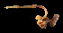  (Lineidae sp. SMGM027 - GLTZ-2486)  @11 [ ] copyright (2024) Svetlana Maslakova University of Oregon