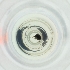  ( - NENM_014_F12)  @11 [ ] by (2023) Wellcome Sanger Institute (Genome Research Limited) Wellcome Sanger Institute (Genome Research Limited)