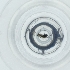  ( - NENM_037_C4)  @11 [ ] by  Genome Research Ltd as Wellcome Sanger Institute Genome Research Limited operating as Wellcome Sanger Institute