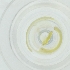  ( - NENM_058_D4)  @11 [ ] by  Genome Research Ltd as Wellcome Sanger Institute Genome Research Limited operating as Wellcome Sanger Institute