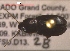  ( - NEONTcarabid242)  @13 [ ] Copyright (2010) Blevins, KK and Travers, PD National Ecological Observatory Network (NEON) http://www.neoninc.org/content/copyright