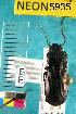  ( - NEONTcarabid5935)  @12 [ ] Copyright (2012) Barton, M National Ecological Observatory Network (NEON) http://www.neoninc.org/content/copyright