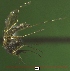  ( - NEONTculicid797)  @12 [ ] Copyright (2010) Blevins, KK and Travers, PD National Ecological Observatory Network (NEON) http://www.neoninc.org/content/copyright