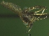  ( - NEONTculicid842)  @12 [ ] Copyright (2010) Blevins, KK and Travers, PD National Ecological Observatory Network (NEON) http://www.neoninc.org/content/copyright