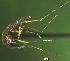 ( - NEONTculicid843)  @12 [ ] Copyright (2010) Blevins, KK and Travers, PD National Ecological Observatory Network (NEON) http://www.neoninc.org/content/copyright