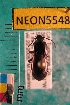  ( - NEONTcarabid5548)  @12 [ ] Copyright (2012) Barton, M National Ecological Observatory Network (NEON) http://www.neoninc.org/content/copyright