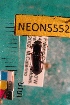  (Pterostichus inanis - NEONTcarabid5552)  @13 [ ] Copyright (2012) Barton, M National Ecological Observatory Network (NEON) http://www.neoninc.org/content/copyright