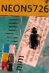  ( - NEONTcarabid5726)  @12 [ ] Copyright (2012) Barton, M National Ecological Observatory Network (NEON) http://www.neoninc.org/content/copyright
