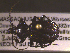  ( - NEONTcarabid1708)  @13 [ ] Copyright (2010) Blevins, KK and Travers, PD National Ecological Observatory Network (NEON) http://www.neoninc.org/content/copyright