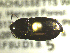  ( - NEONTcarabid1724)  @12 [ ] Copyright (2010) Blevins, KK and Travers, PD National Ecological Observatory Network (NEON) http://www.neoninc.org/content/copyright