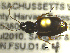  ( - NEONTcarabid1762)  @12 [ ] Copyright (2010) Blevins, KK and Travers, PD National Ecological Observatory Network (NEON) http://www.neoninc.org/content/copyright