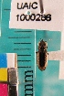  ( - NEONTcarabid5313)  @11 [ ] Copyright (2012) Blevins, KK National Ecological Observatory Network (NEON) http://www.neoninc.org/content/copyright