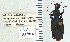  ( - NEONTcarabid5292)  @11 [ ] CreativeCommons - Attribution Non-Commercial Share-Alike (2011) Moore, W University of Arizona Insect Collection