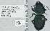  ( - NEONTcarabid4749)  @13 [ ] CreativeCommons - Attribution Non-Commercial Share-Alike (2011) Moore, W University of Arizona Insect Collection