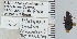  (Platynus lyratus - NEONTcarabid4705)  @12 [ ] CreativeCommons - Attribution Non-Commercial Share-Alike (2011) Moore, W University of Arizona Insect Collection