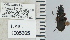  ( - NEONTcarabid4645)  @11 [ ] CreativeCommons - Attribution Non-Commercial Share-Alike (2011) Moore, W University of Arizona Insect Collection