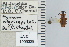  ( - NEONTcarabid4653)  @11 [ ] CreativeCommons - Attribution Non-Commercial Share-Alike (2011) Moore, W University of Arizona Insect Collection