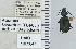  ( - NEONTcarabid4697)  @11 [ ] CreativeCommons - Attribution Non-Commercial Share-Alike (2011) Moore, W University of Arizona Insect Collection