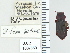  ( - NEONTcarabid4789)  @11 [ ] CreativeCommons - Attribution Non-Commercial Share-Alike (2011) Moore, W University of Arizona Insect Collection