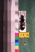  ( - NEONTcarabid2418)  @13 [ ] Copyright (2010) Baldwin, TA National Ecological Observatory Network (NEON) http://www.neoninc.org/content/copyright