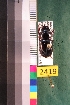  ( - NEONTcarabid2419)  @13 [ ] Copyright (2010) Baldwin, TA National Ecological Observatory Network (NEON) http://www.neoninc.org/content/copyright