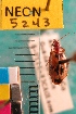  ( - NEONTcarabid5243)  @11 [ ] Copyright (2012) Blevins, KK and Travers, PD National Ecological Observatory Network (NEON) http://www.neoninc.org/content/copyright
