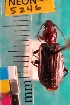  ( - NEONTcarabid5246)  @11 [ ] Copyright (2012) Blevins, KK and Travers, PD National Ecological Observatory Network (NEON) http://www.neoninc.org/content/copyright