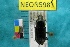  ( - NEONTcarabid5983)  @12 [ ] Copyright (2010) Everhart, J National Ecological Observatory Network (NEON) http://www.neoninc.org/content/copyright