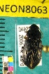  ( - NEONTcarabid8063)  @13 [ ] Copyright (2010) Barton, M National Ecological Observatory Network (NEON) http://www.neoninc.org/content/copyright