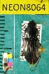  ( - NEONTcarabid8064)  @12 [ ] Copyright (2010) Barton, M National Ecological Observatory Network (NEON) http://www.neoninc.org/content/copyright