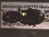  ( - NEONTcarabid1668)  @12 [ ] Copyright (2010) Blevins, KK and Travers, PD National Ecological Observatory Network (NEON) http://www.neoninc.org/content/copyright