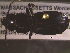  ( - NEONTcarabid1671)  @12 [ ] Copyright (2010) Blevins, KK and Travers, PD National Ecological Observatory Network (NEON) http://www.neoninc.org/content/copyright