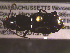  ( - NEONTcarabid1681)  @13 [ ] Copyright (2010) Blevins, KK and Travers, PD National Ecological Observatory Network (NEON) http://www.neoninc.org/content/copyright