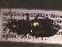  ( - NEONTcarabid1689)  @12 [ ] Copyright (2010) Blevins, KK and Travers, PD National Ecological Observatory Network (NEON) http://www.neoninc.org/content/copyright