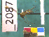  ( - NEONTculicid2087)  @13 [ ] Copyright (2010) Blevins, KK and Travers, PD National Ecological Observatory Network (NEON) http://www.neoninc.org/content/copyright