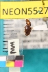  ( - NEONTcarabid5527)  @12 [ ] Copyright (2012) Barton, M National Ecological Observatory Network (NEON) http://www.neoninc.org/content/copyright