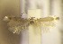  (Trifurcula CytisusfontanesiiAL33 - RMNH.5012046)  @13 [ ] CreativeCommons  Attribution Non-Commercial Share-Alike (2016) A. Lastuvka Mendel University, Brno